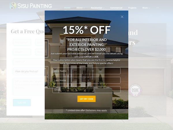 sisupainting.com